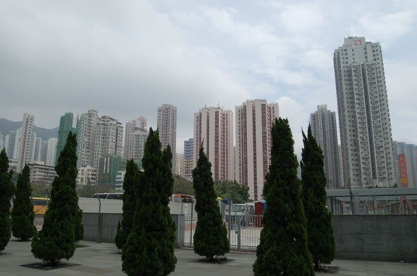 dsc 3929 2407372406 o